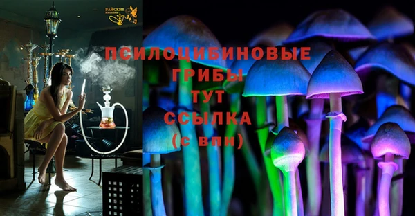 spice Баксан