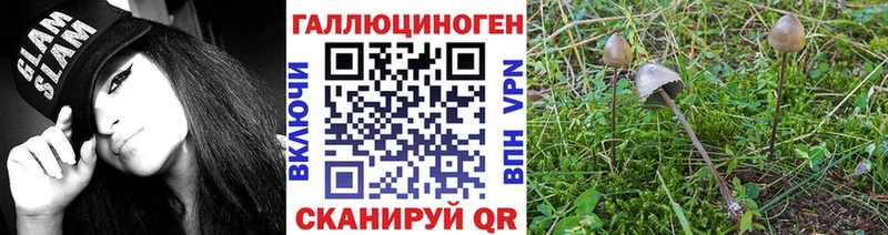 купить  цена  Туапсе  shop клад  Псилоцибиновые грибы MAGIC MUSHROOMS 